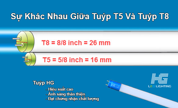 Sự khác nhau giữa Tuýp T5 và Tuýp T8